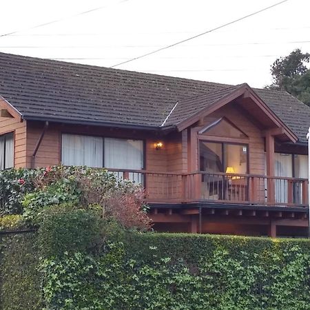 Frontera Pucon Hostel B&B エクステリア 写真