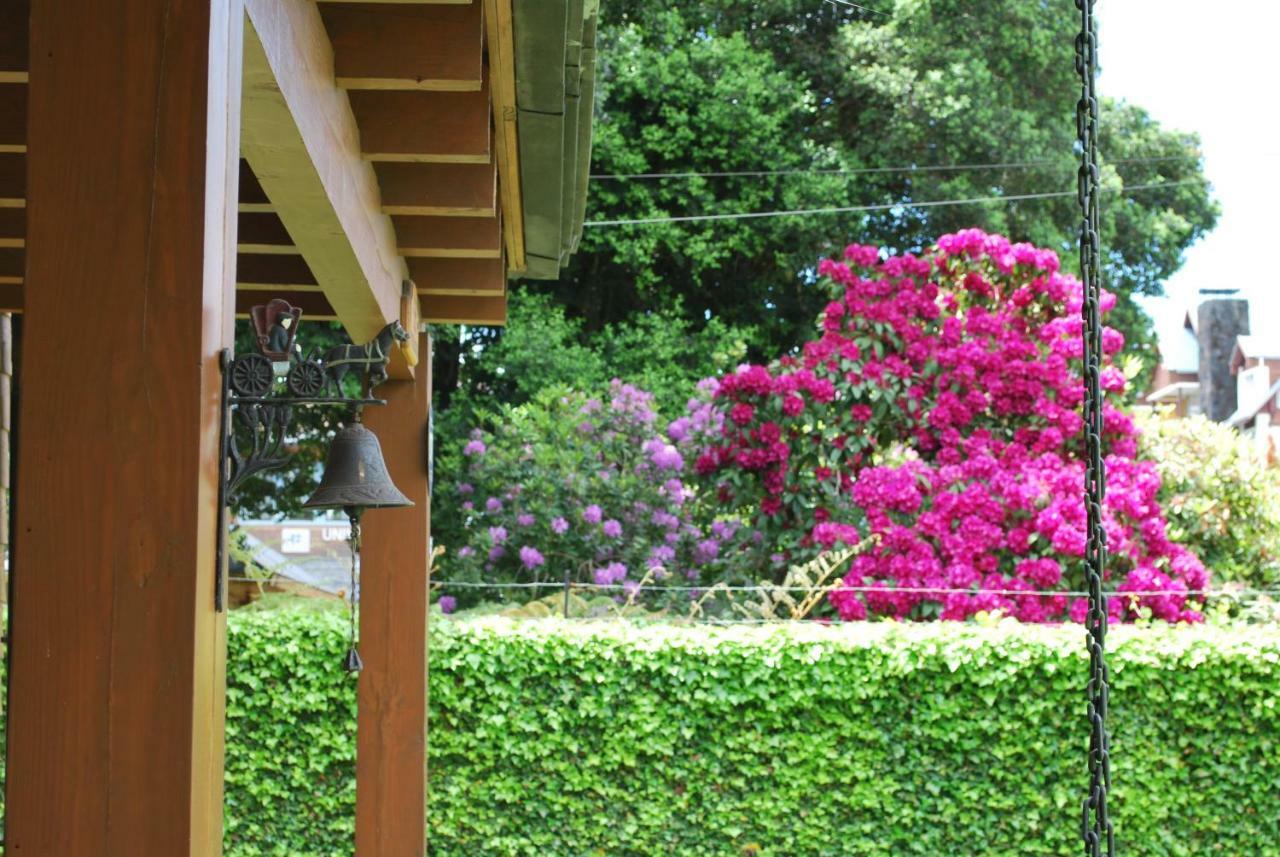 Frontera Pucon Hostel B&B エクステリア 写真